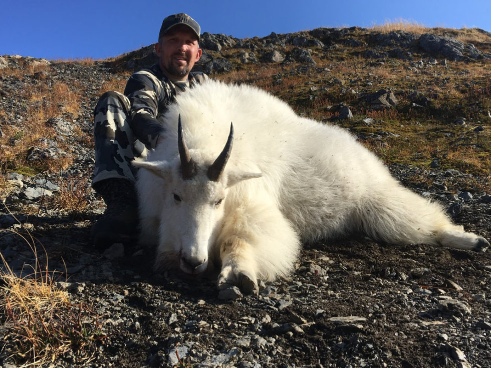 MOUNTAIN GOAT HUNTS | Hunt Alaska Outfitters