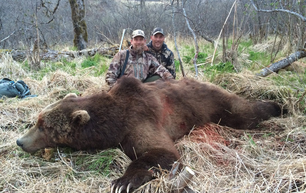 2021 Brown Bear Hunting Forecast