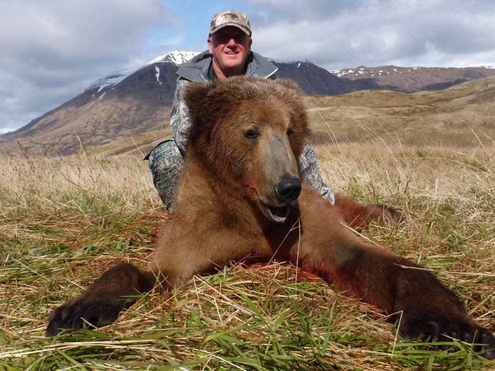 kodiak bear hunting trips cost