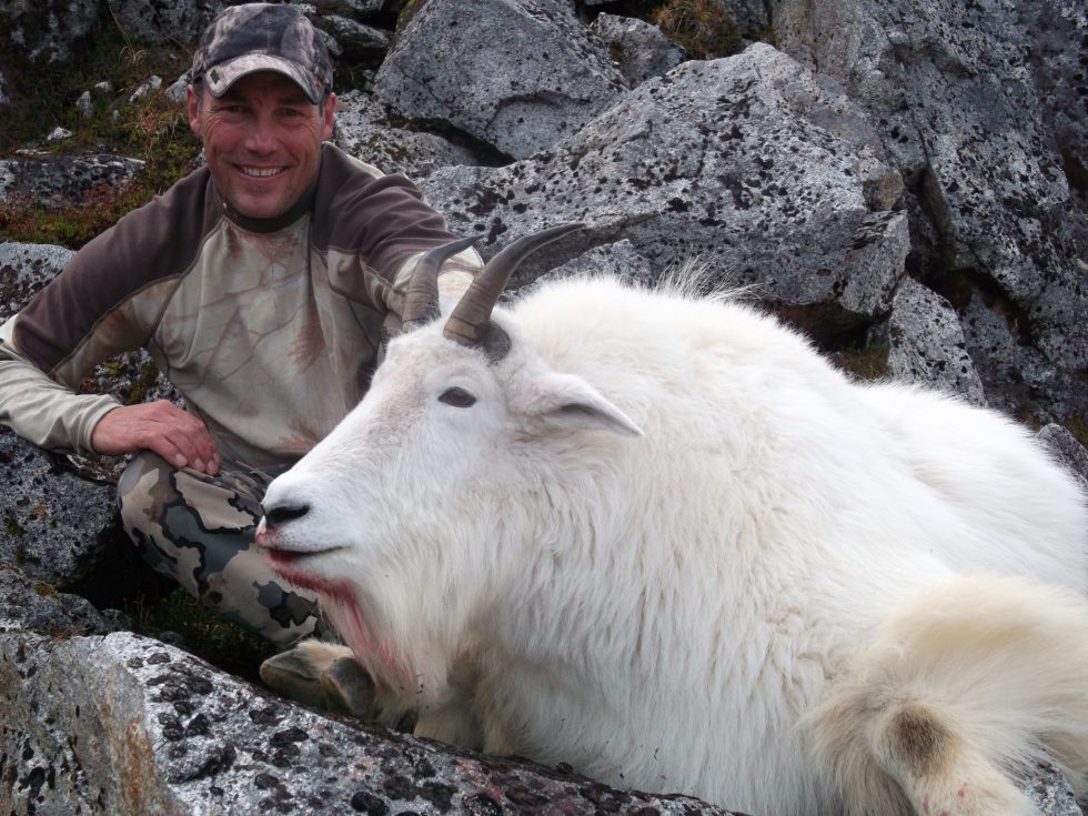 MOUNTAIN GOAT HUNTS | Hunt Alaska Outfitters